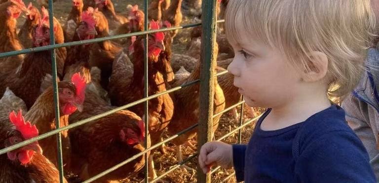 Our Journey