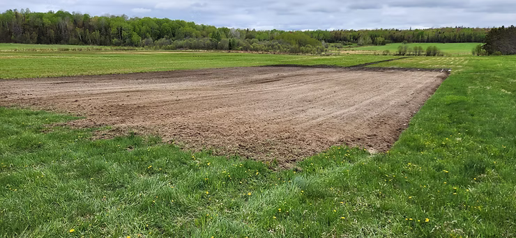 Field