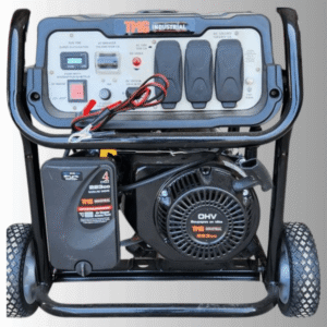 Electric backup generator