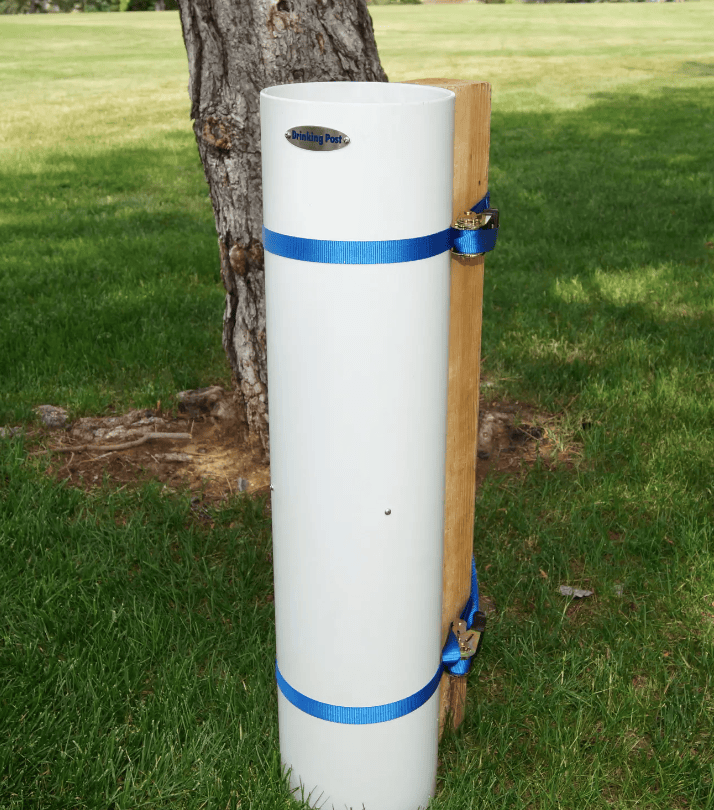 Drinking Post Waterer - Image 3